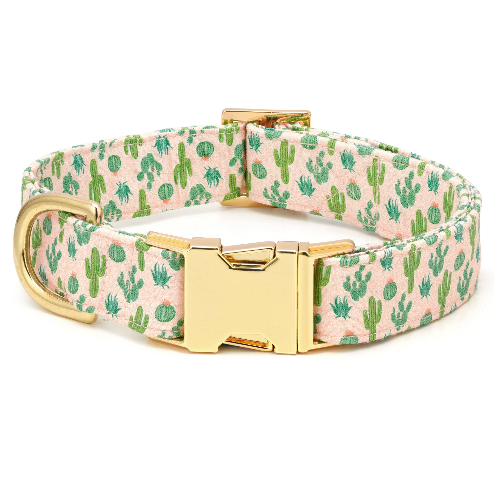 Desert Cactus Dog Collar