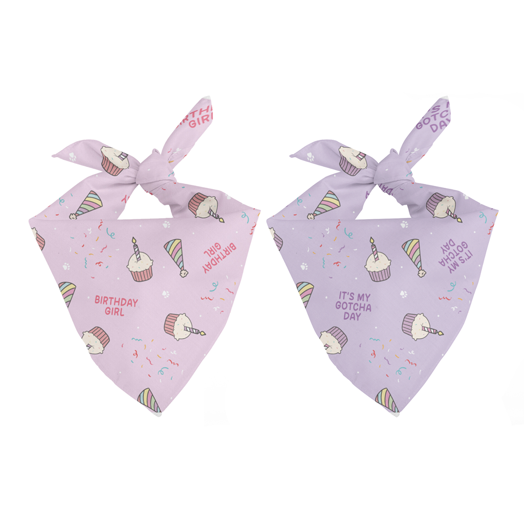 Birthday Girl & Gotcha Day Double Sided Tie Snap Dog Bandana