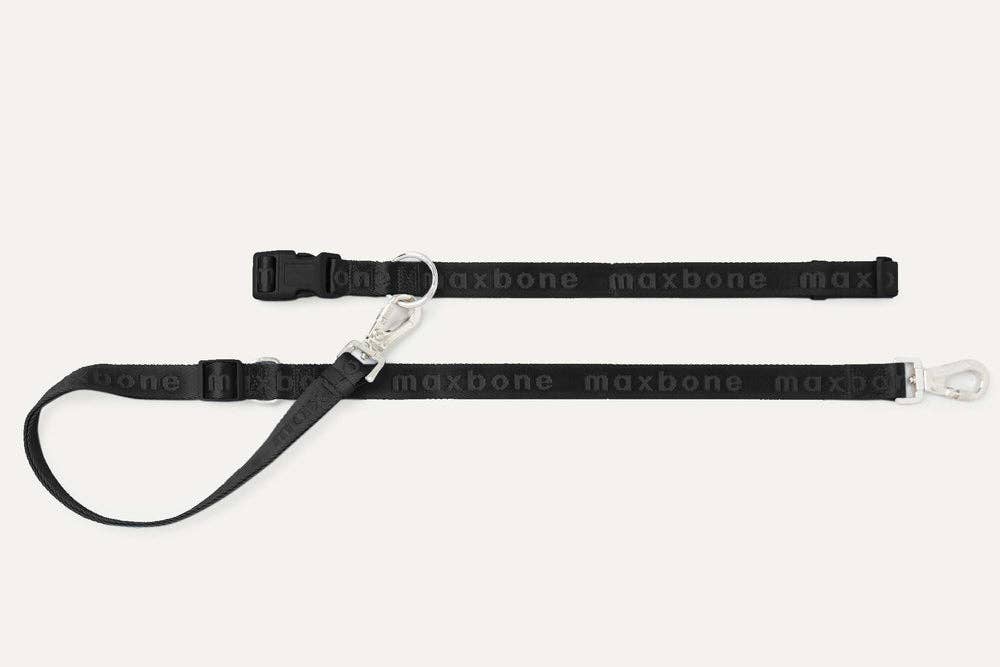 GO! With Ease Hands-Free Leash for Dogs
