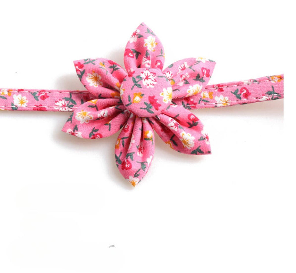 Mokka - Floral Cat Collar – Adjustable & Safety Breakaway Design
