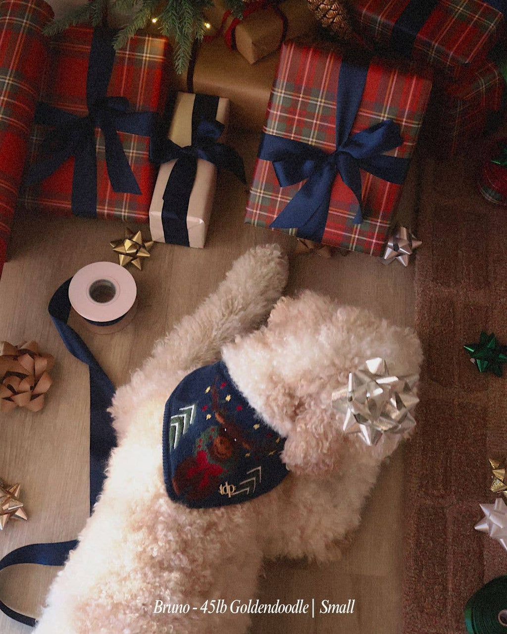 BANDANA | MONTY THE MOOSE