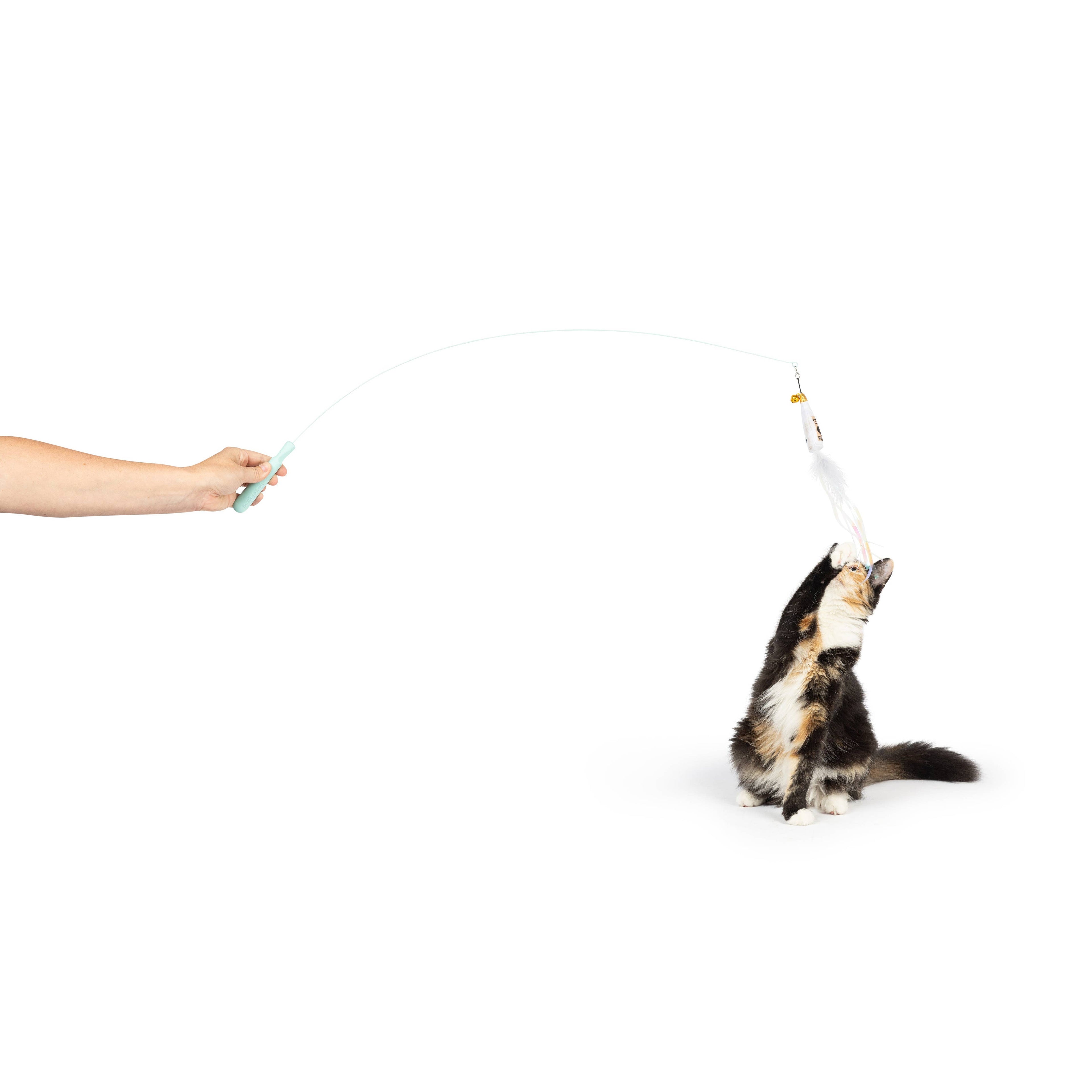 Wire Toto's & Pom Poms Wand 2pk Cat Toy