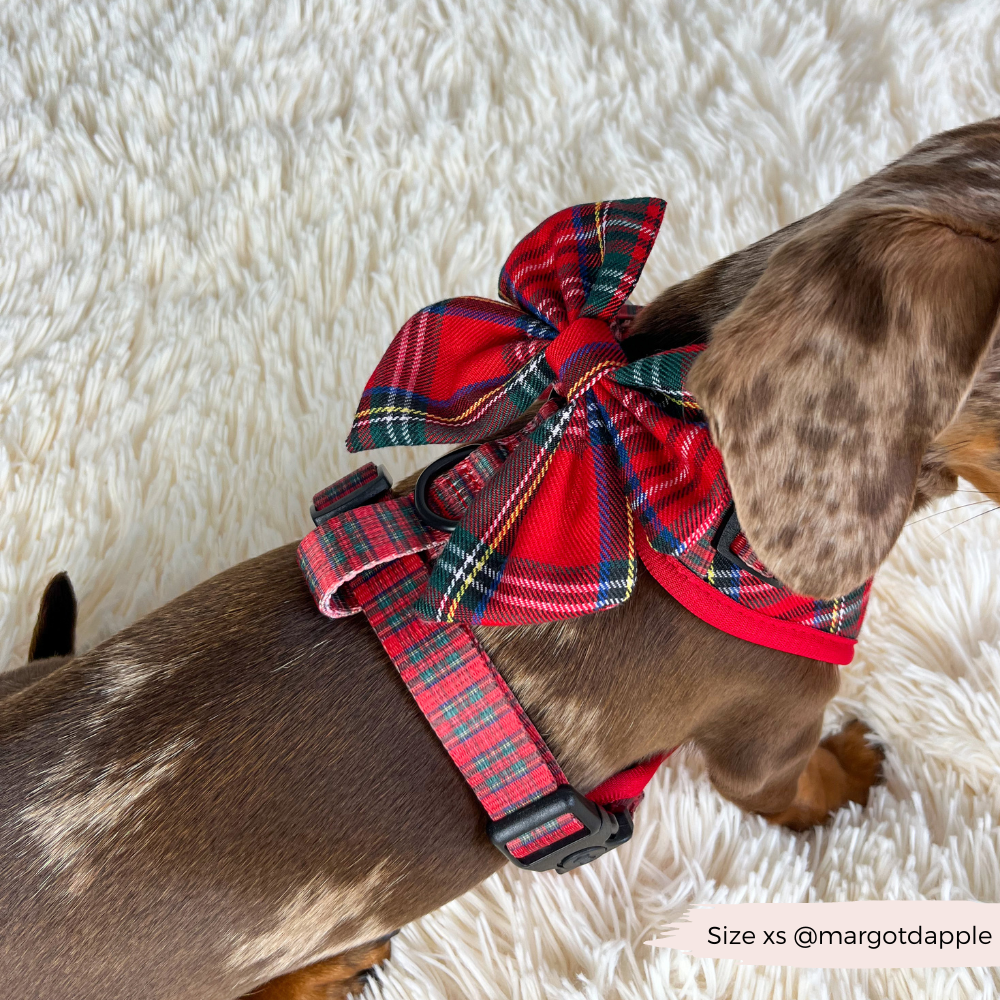 Tartan Adjustable Neck HARNESS