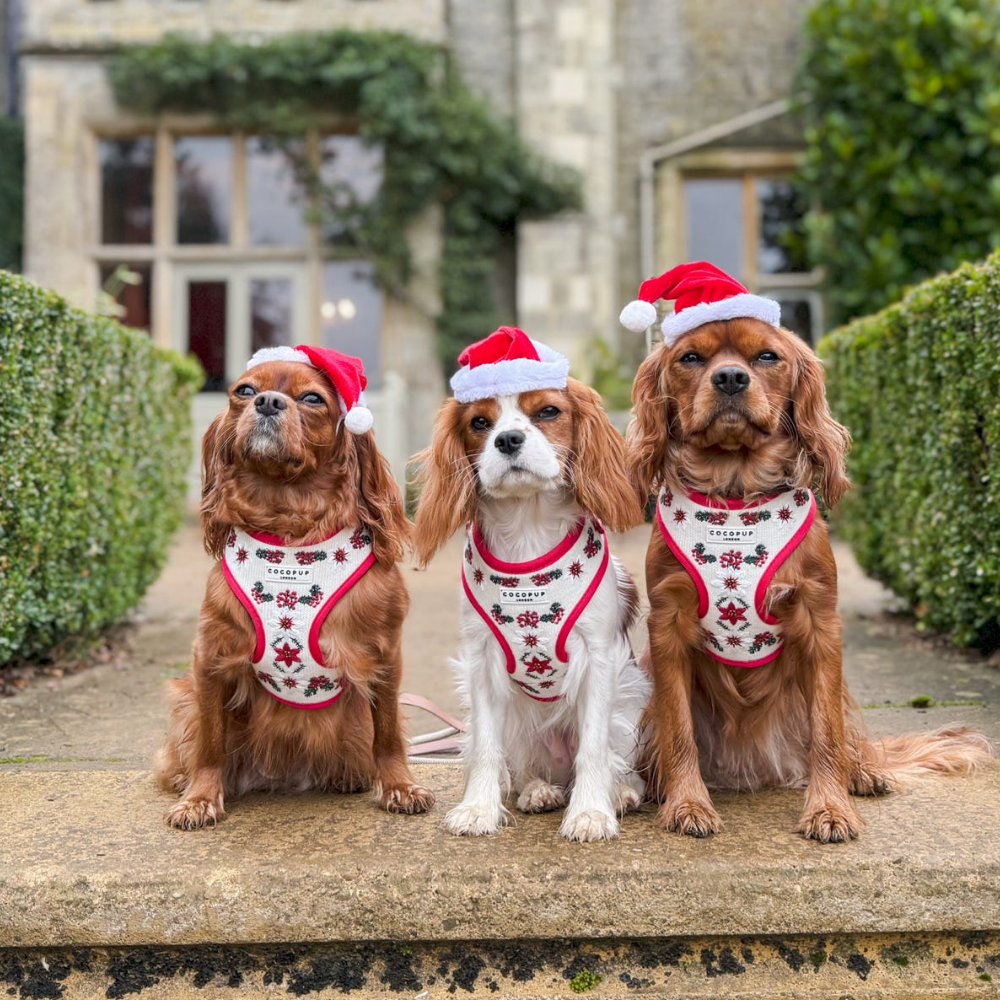LUXE Embroidered Frosty Flower HARNESS