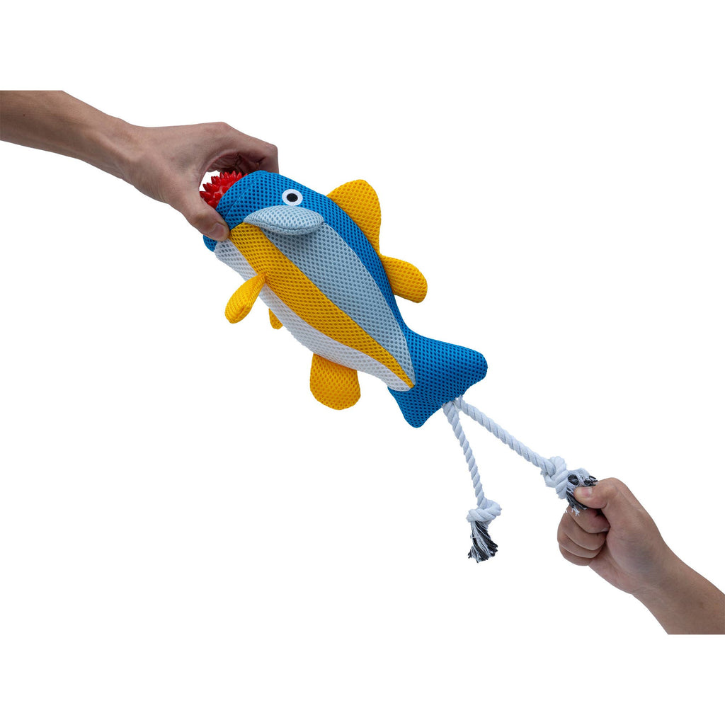 Territory Fish 2-in-1 Floating Dog Toy