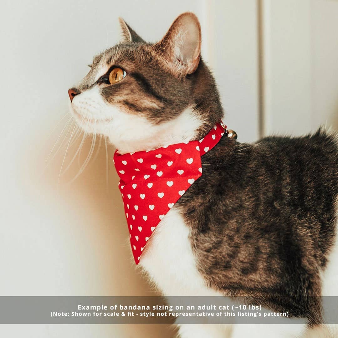 "Football" - Sports Bandana for Cats + Small Dogs