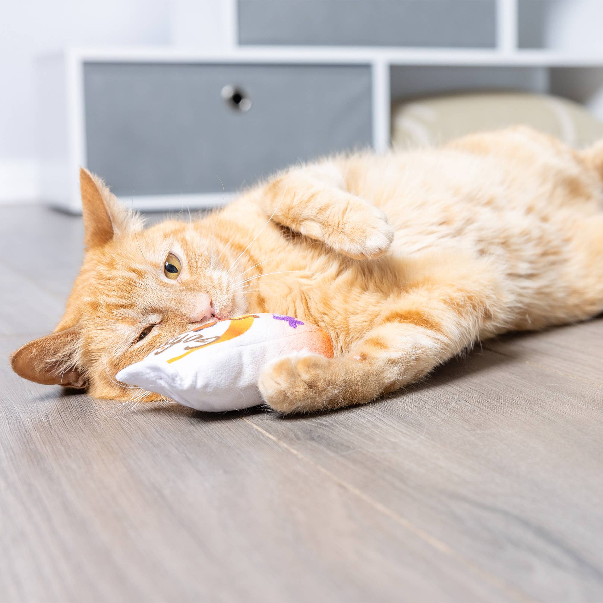 Go Fish Phishy For Cats