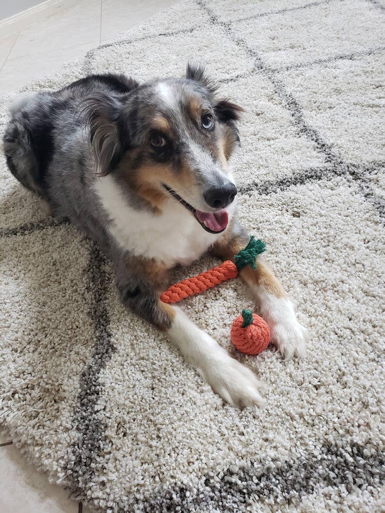 Carrot Rope Dog Toy