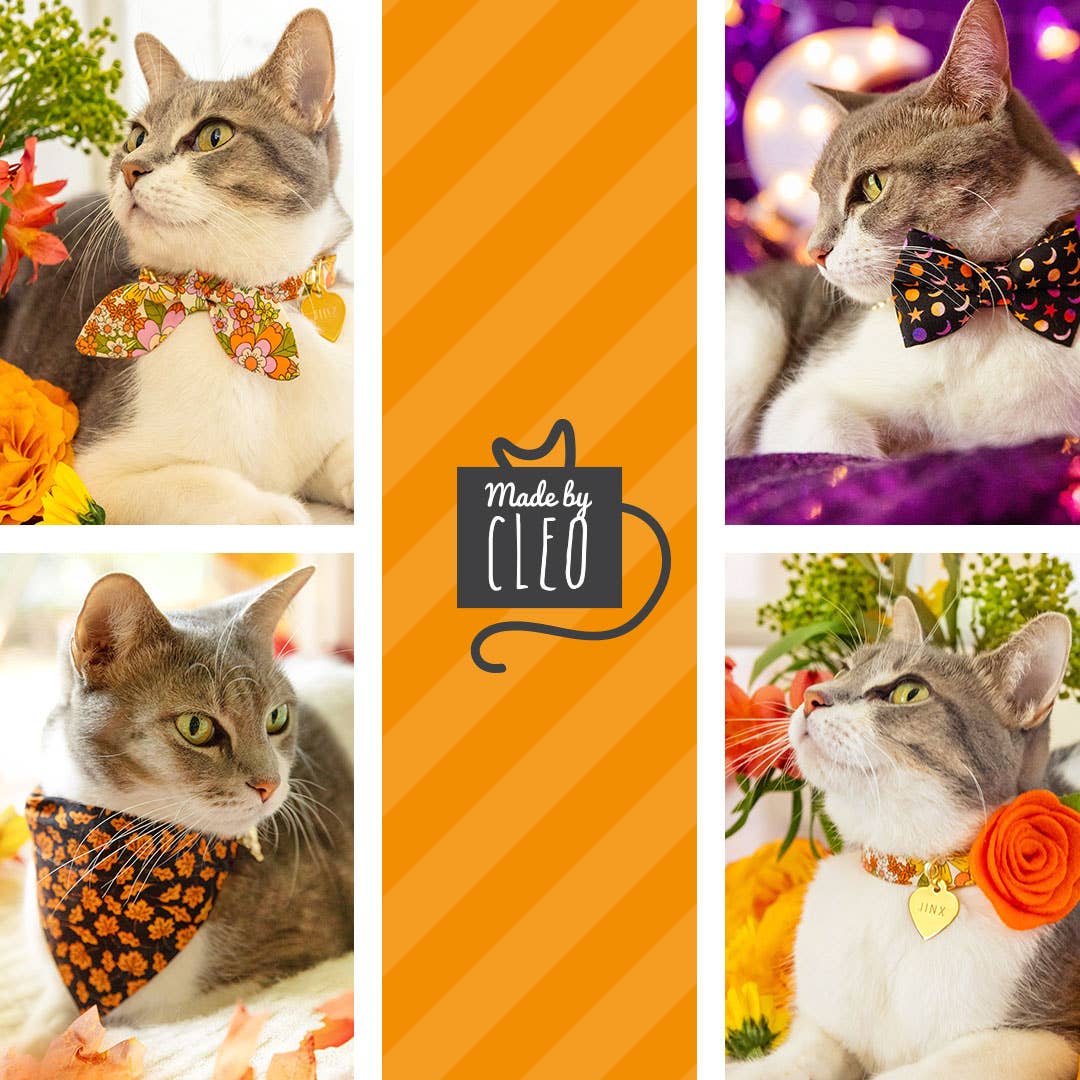 "Velvet - Roasted Pumpkin" - Burnt Orange Velvet Collar