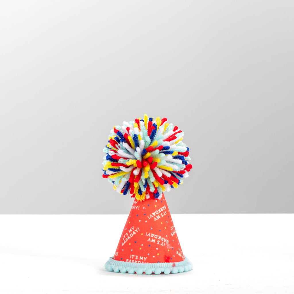 It's My Barkday Party Hat