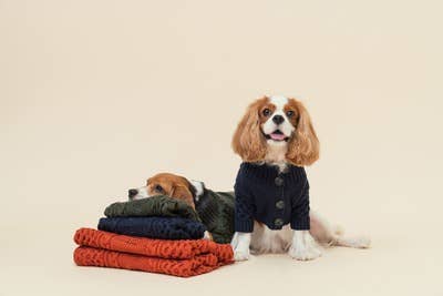 LAPEL CARDIGAN SWEATER