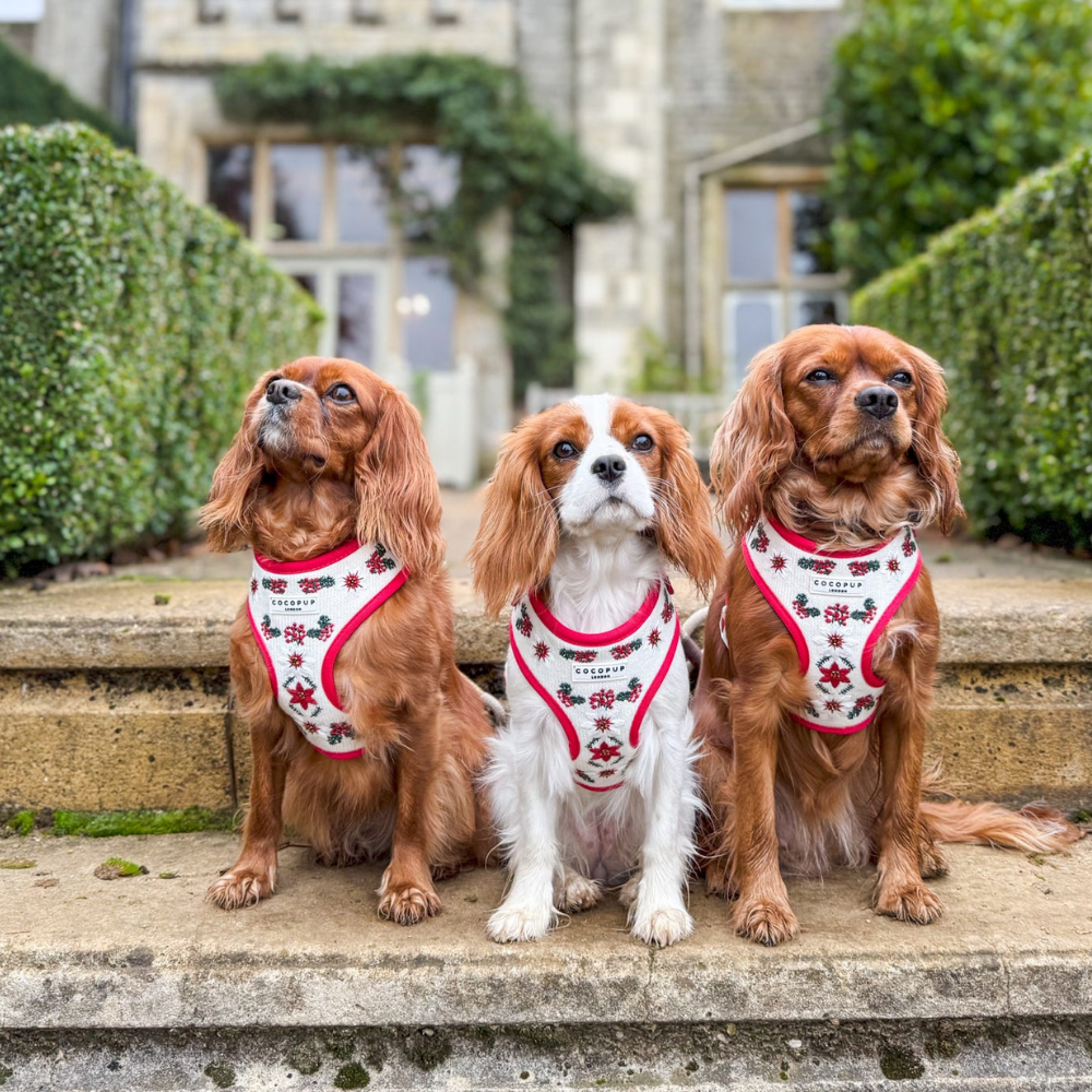 LUXE Embroidered Frosty Flower HARNESS