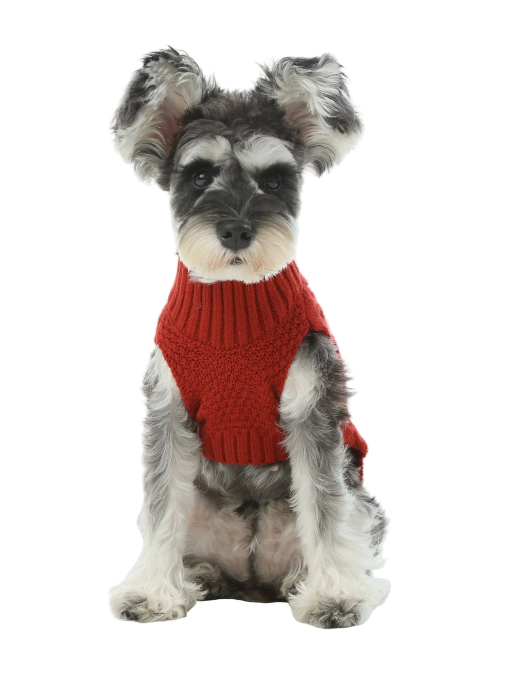 Pet Sweater Vest - Red