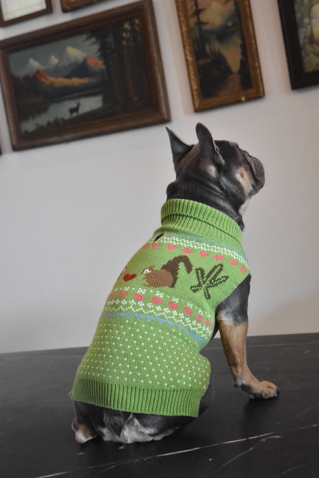 Fernfield Squirrel Sweater