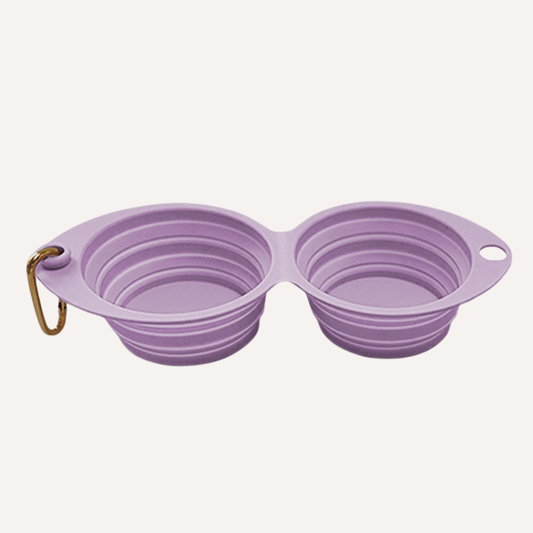 Travel Collapsible Double Pet Bowl with Clip