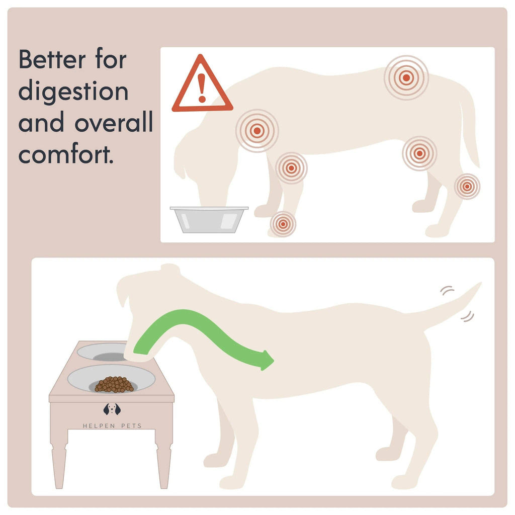 White Elevated Pet Feeder
