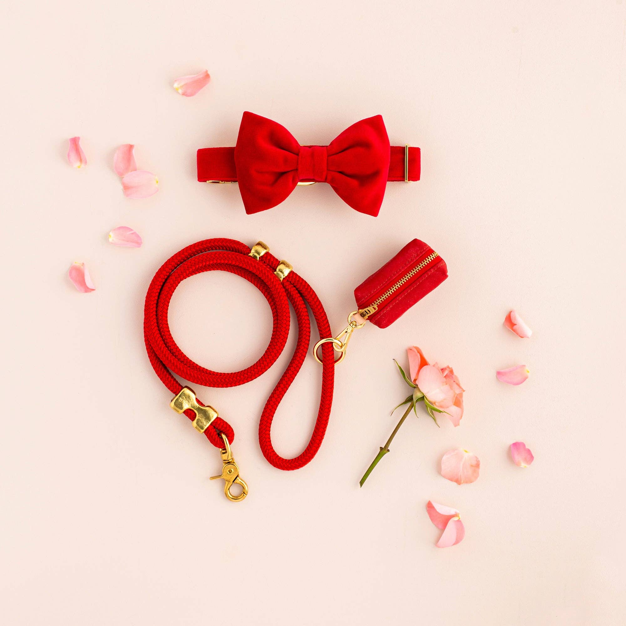Ruby Valentine's Day Waxed Canvas Poop Bag Dispenser