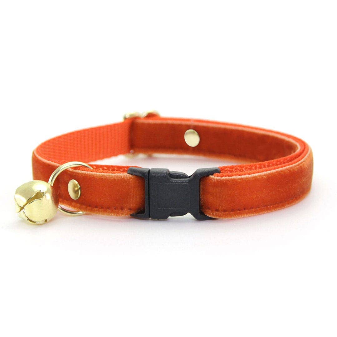 "Velvet - Roasted Pumpkin" - Burnt Orange Velvet Collar