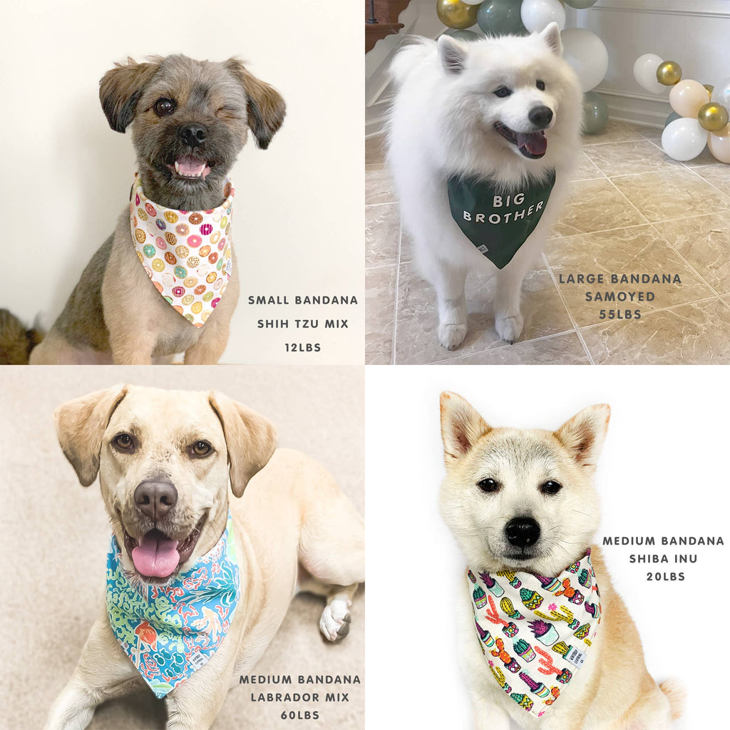 Anchor Dog Bandana