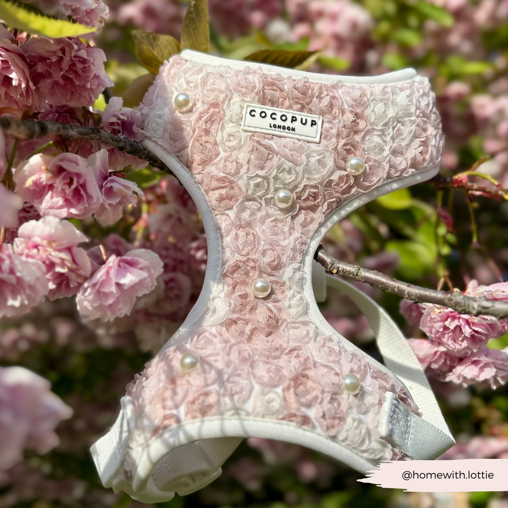Pearly Pup Adjustable Neck HARNESS