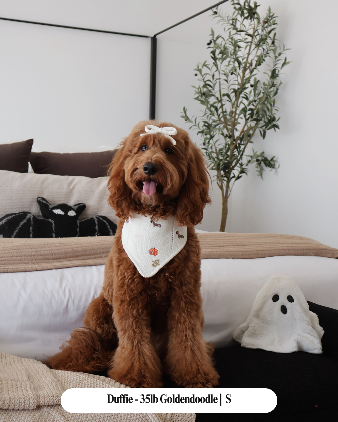 FALL DOG BANDANA | AIMEE'S PUMPKIN PATCH