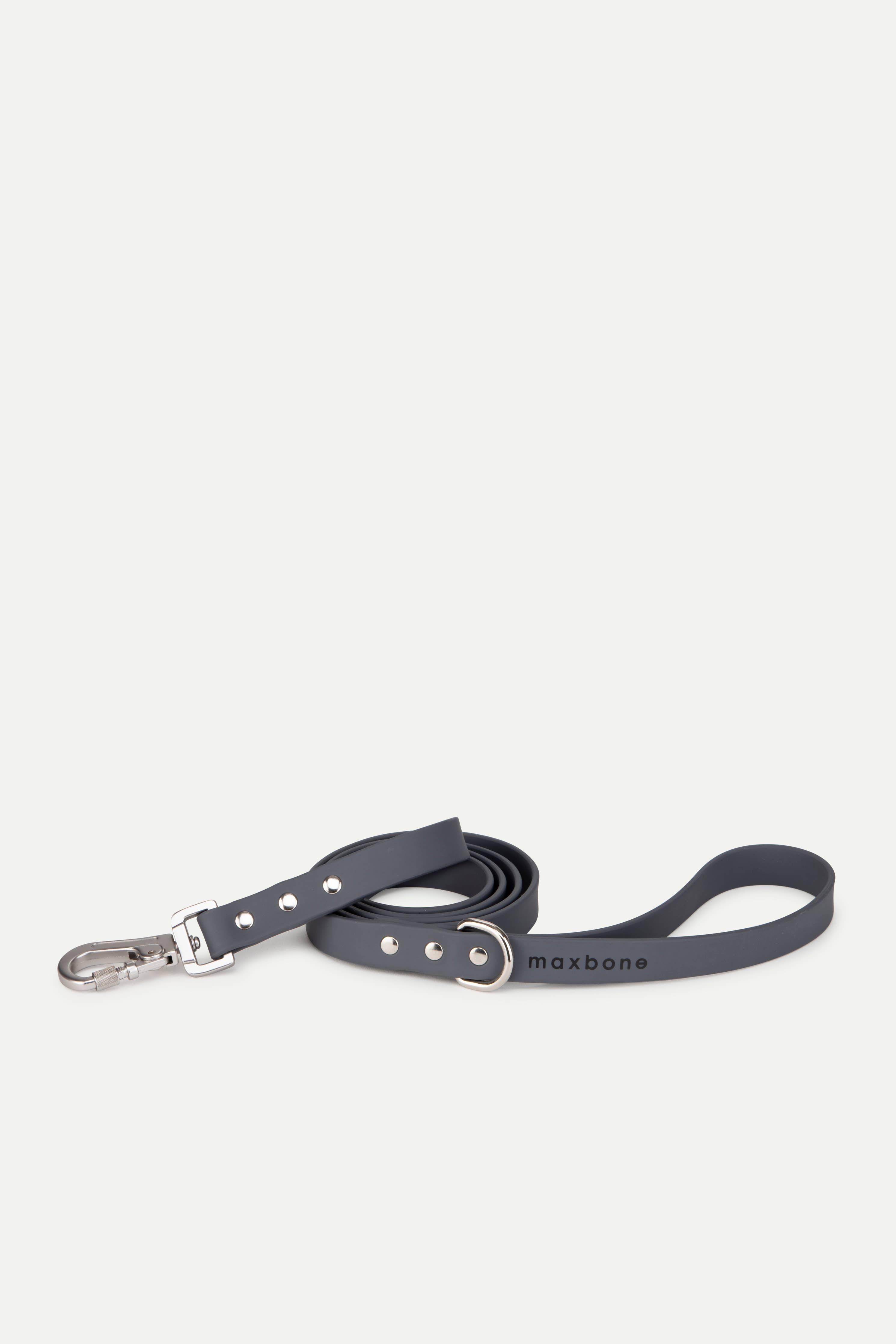 Sand Leash for Dogs