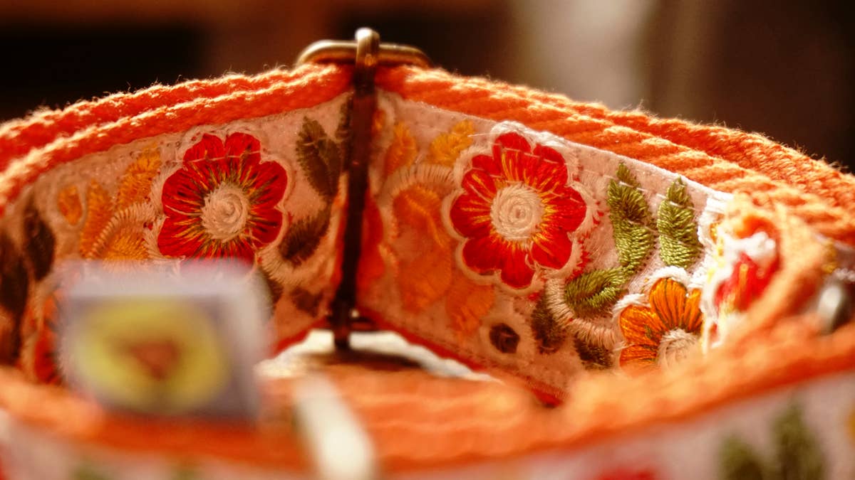 orange collar with floral design