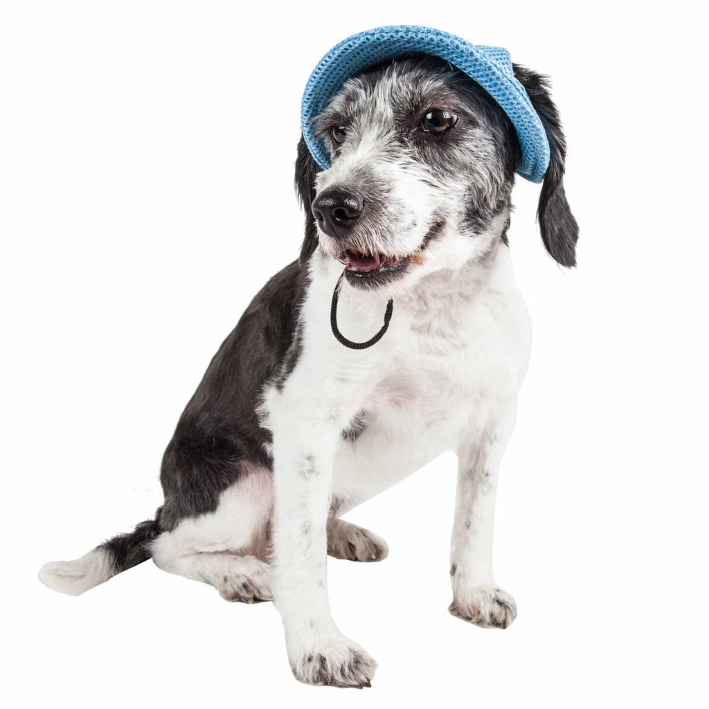 UV Protectant Adjustable Dog Hat Cap