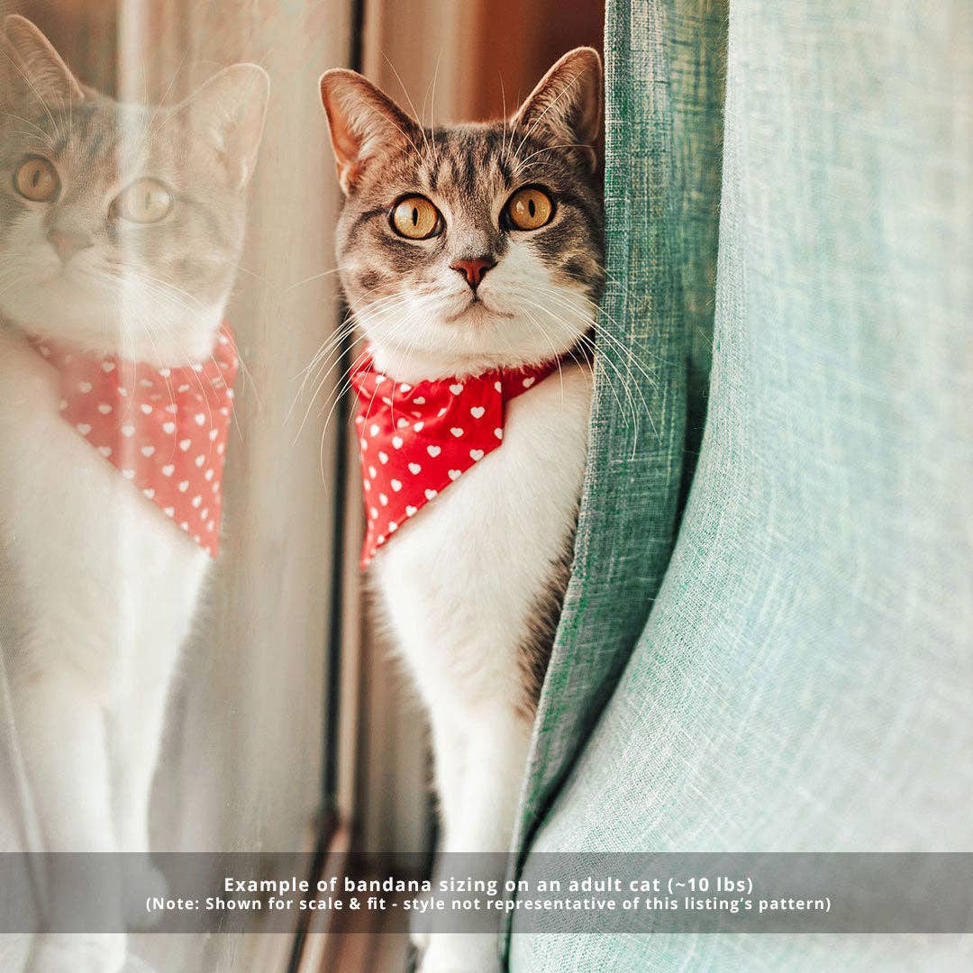 "Birthday Candles" - Bandana for Cat + Small Dog