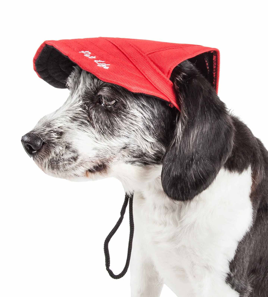 Black Dog Hat