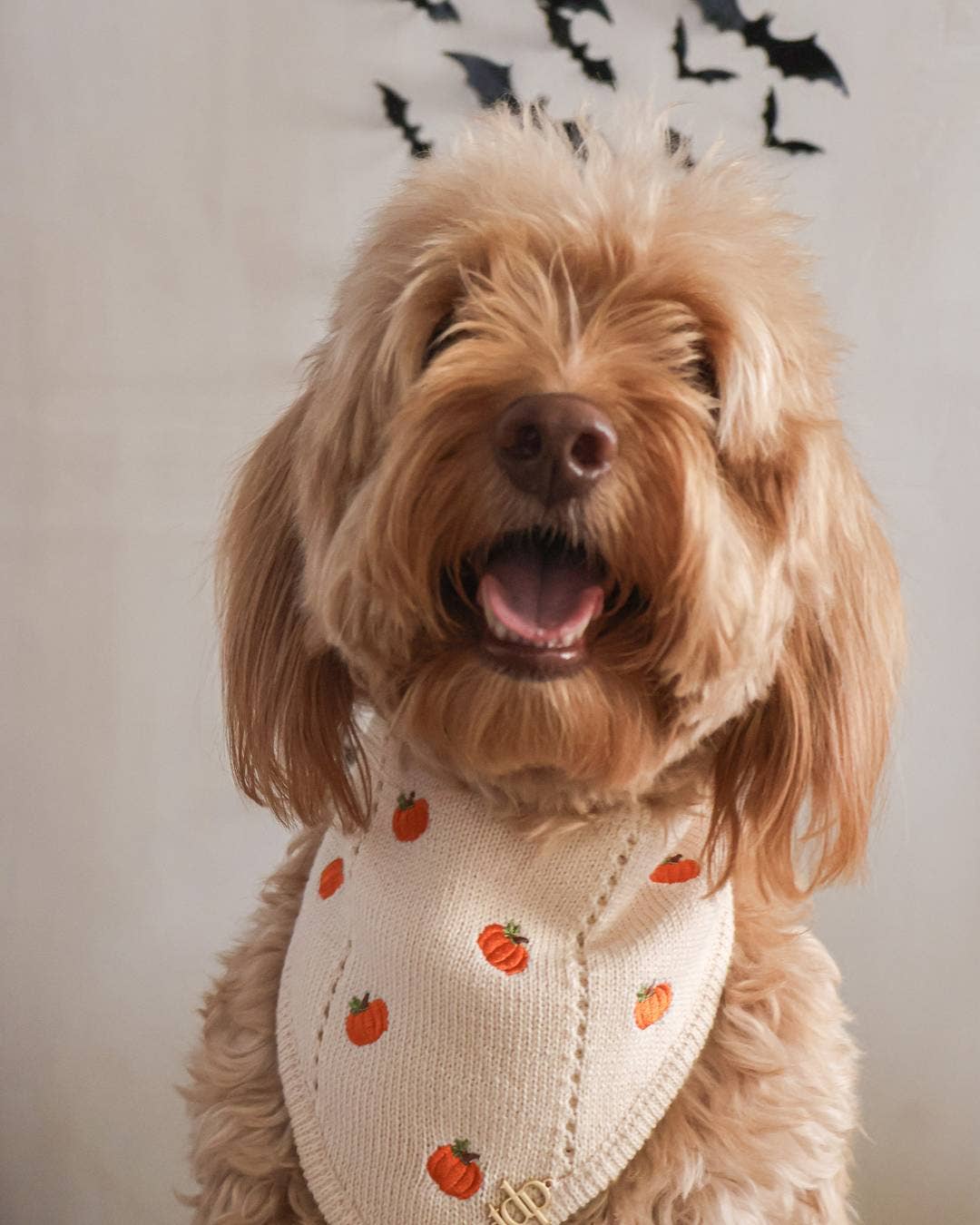 FALL DOG BANDANA | PUMPKIN HOLLOW