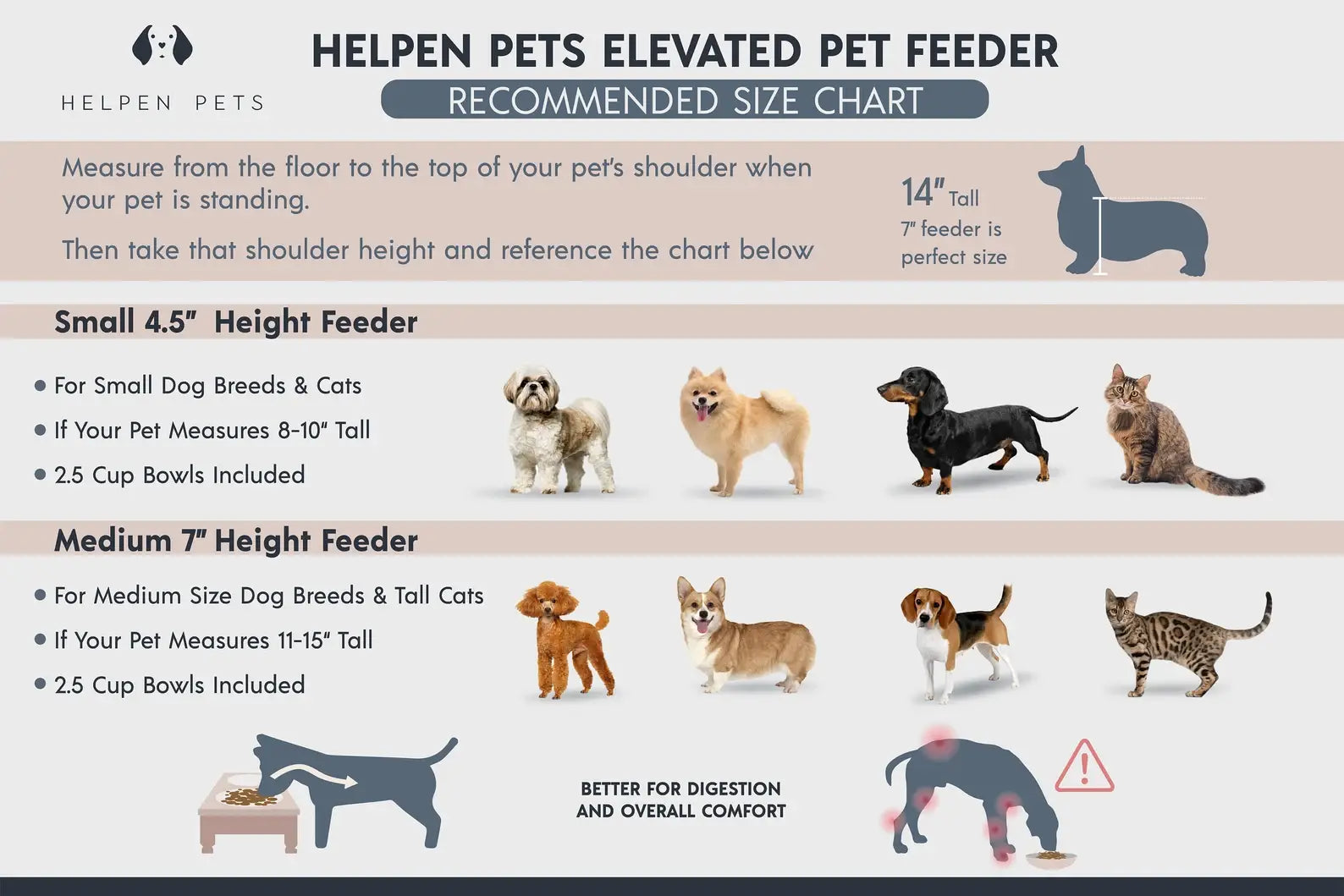 White Elevated Pet Feeder