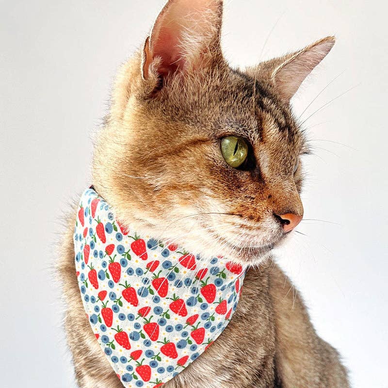 "Berry Bramble" - Bandana For Cats & Small Dogs