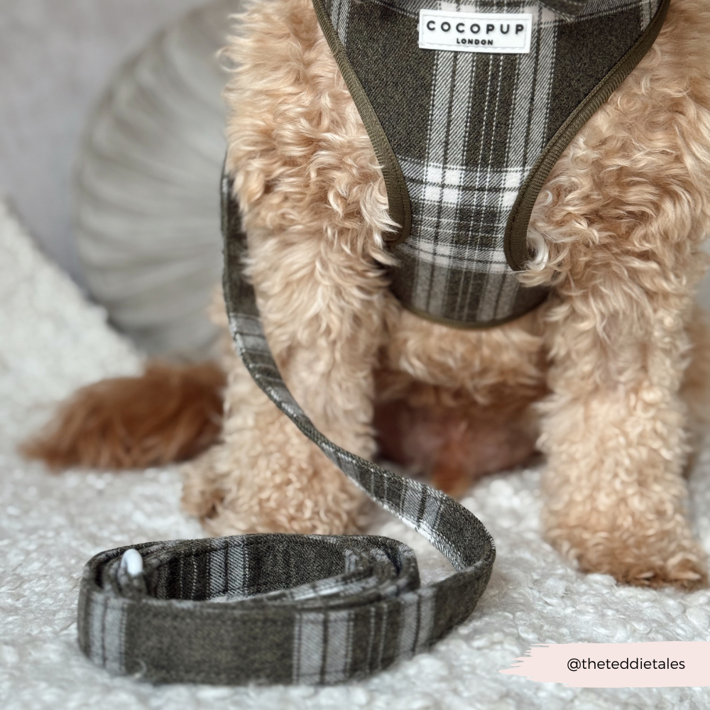 Olive Check Adjustable Neck HARNESS