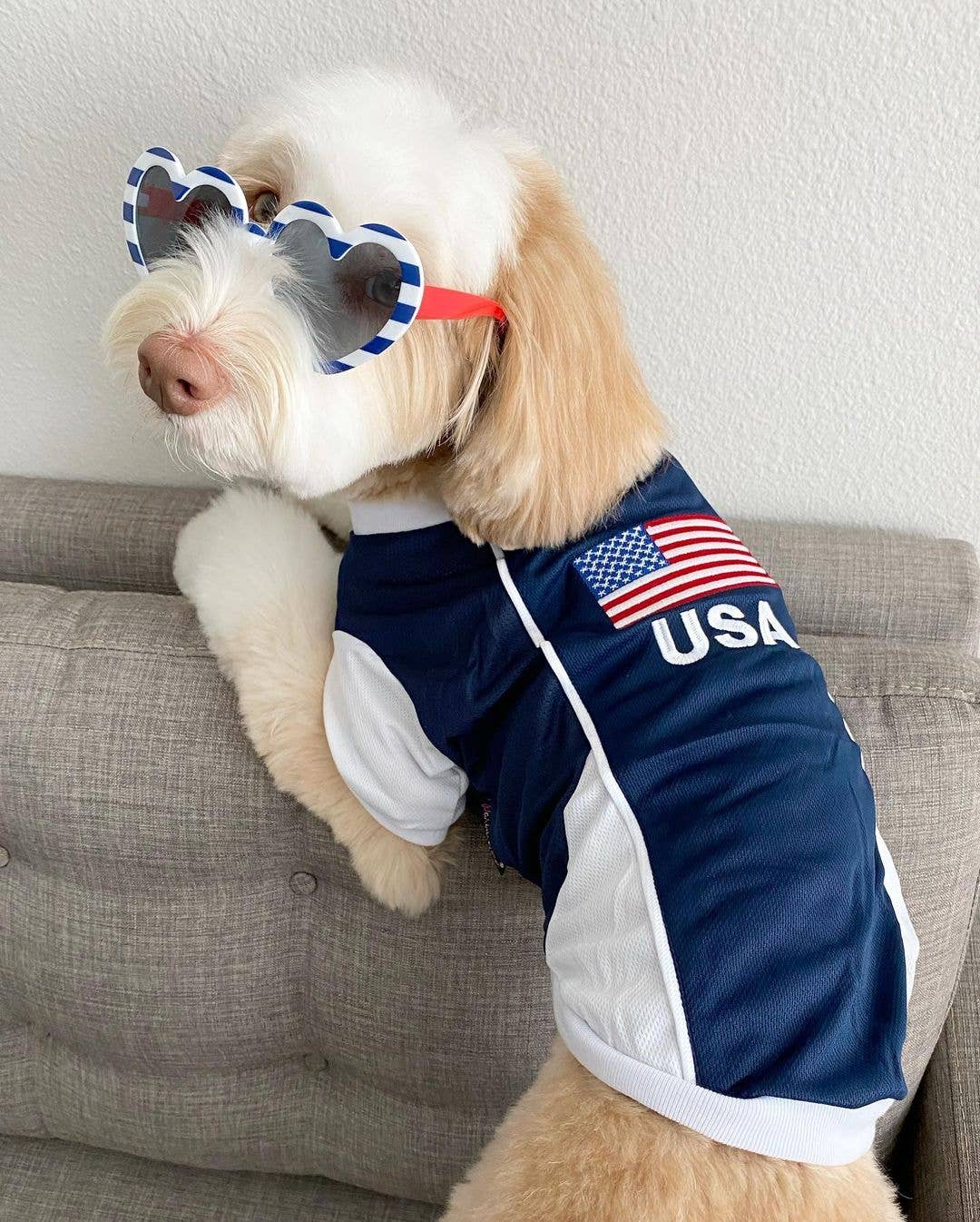 Team USA Jersey Dog T-Shirt – Perfect for Patriotic Pups