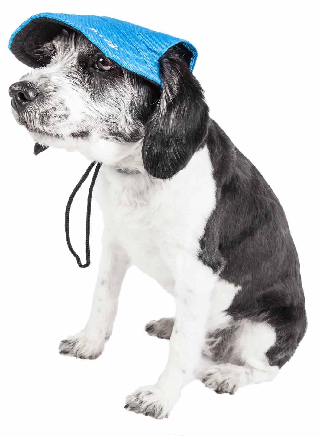 Black Dog Hat