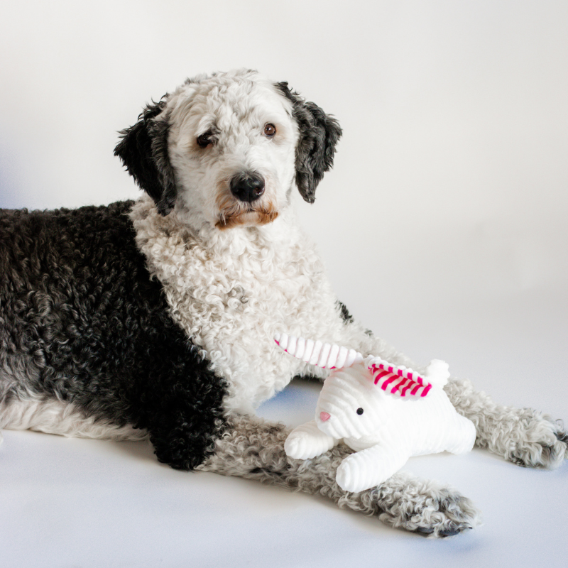 Midlee Stripe Ears White Easter Rabbit Dog Toy