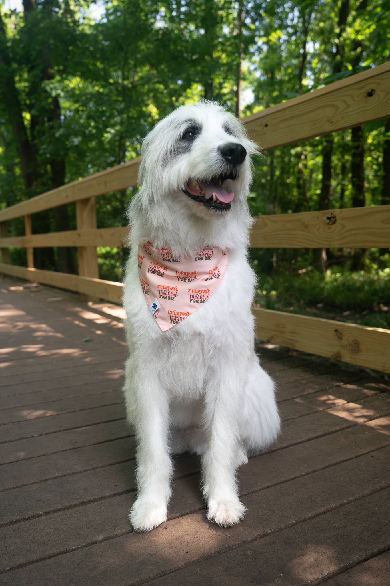 Thanksgiving Dog Bandana