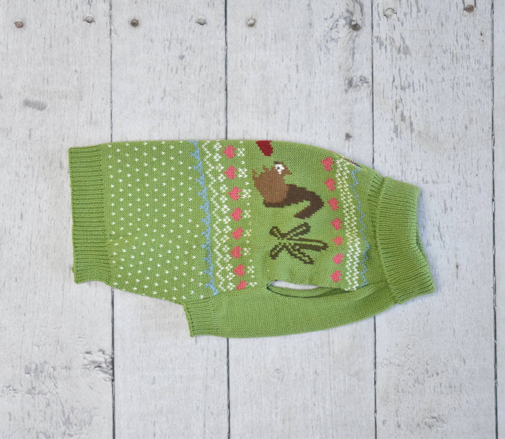 Fernfield Squirrel Sweater