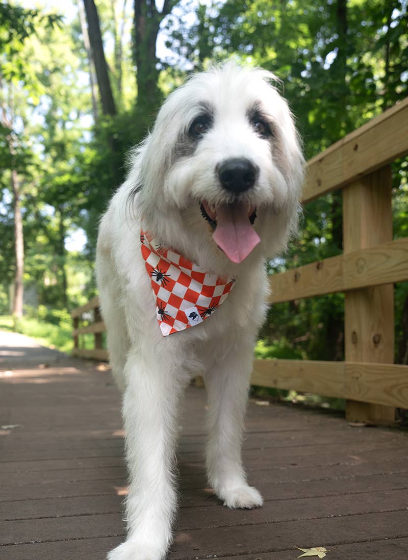 Halloween Plaid Dog Bandana