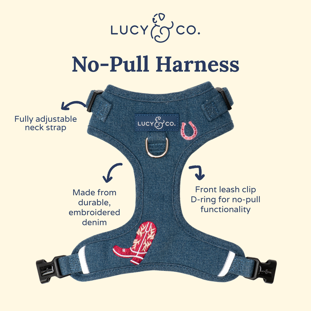 Cute to Boot No-Pull Harness