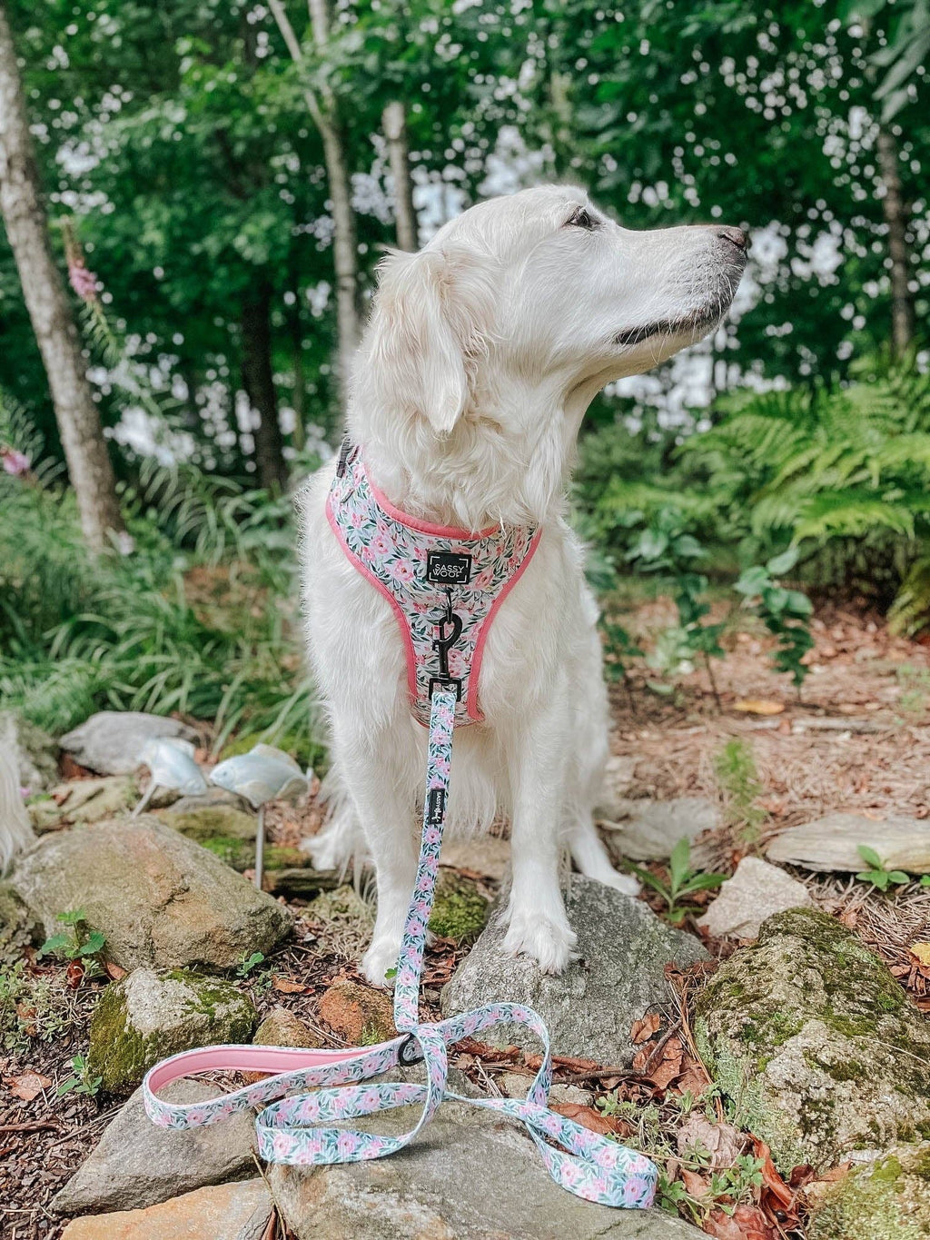 Dog Adjustable Harness - Magnolia