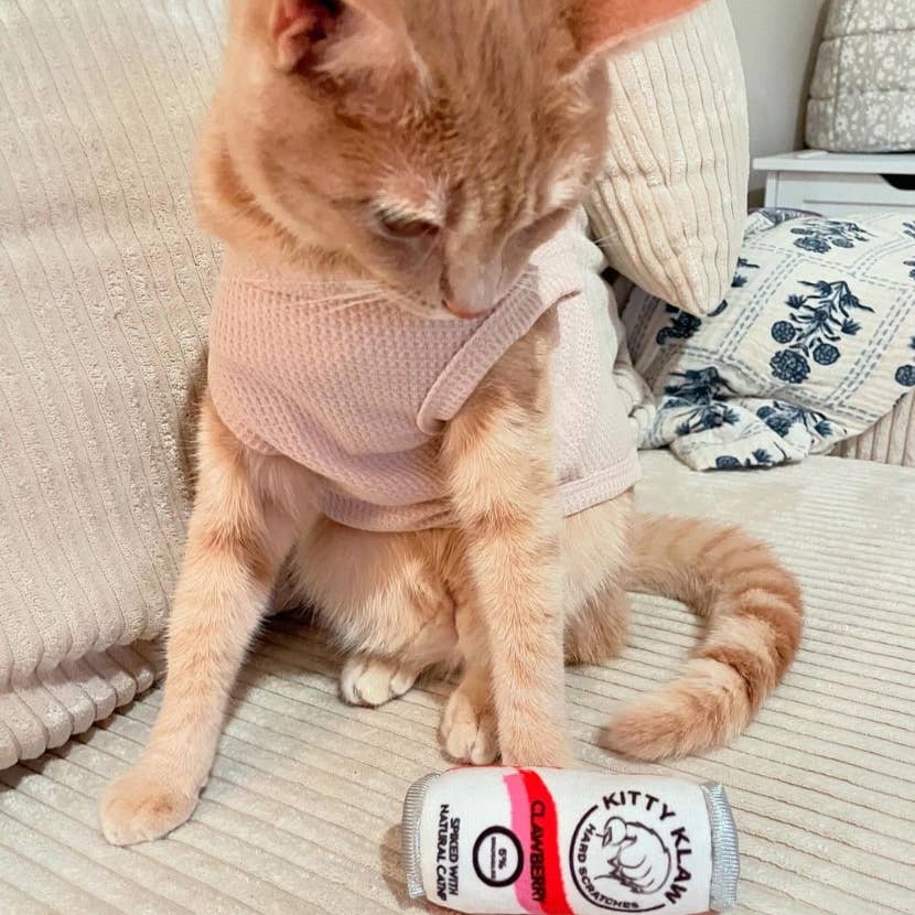 Kitty Klaw Clawberry For Cats