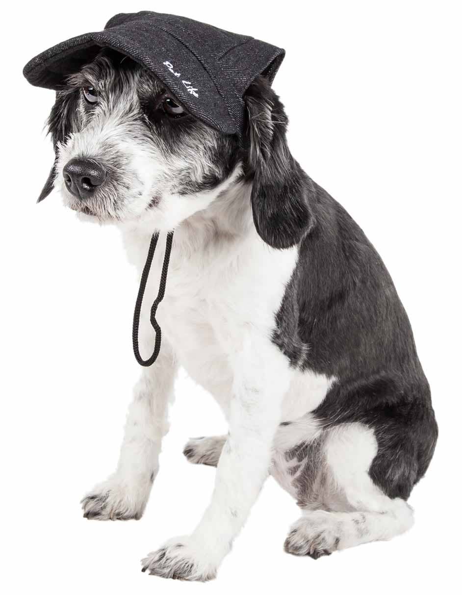 Black Dog Hat