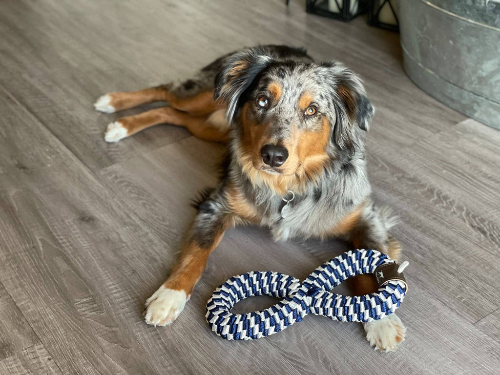 Tall Tails Navy Braided Infinity Dog Tug Toy - 11"