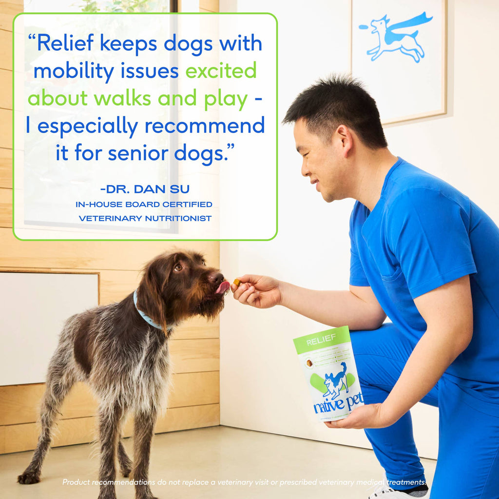 Hip+Joint Inflammatory Care Chews, Hip & Joint Supplement