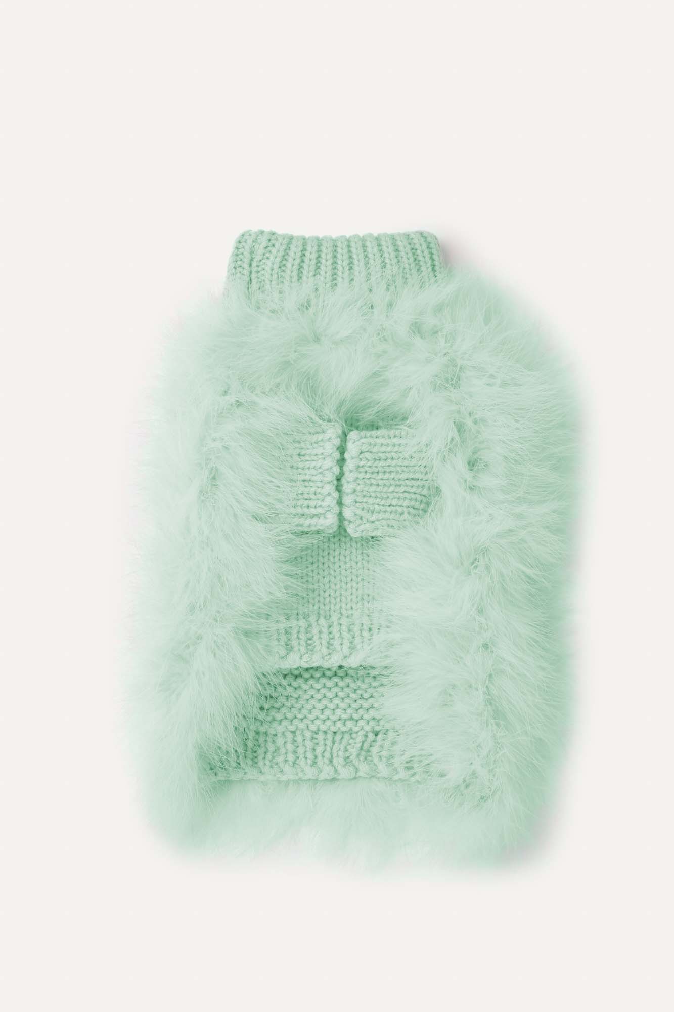 Christian Cowan x maxbone Jumper for Dogs: Mint / Large