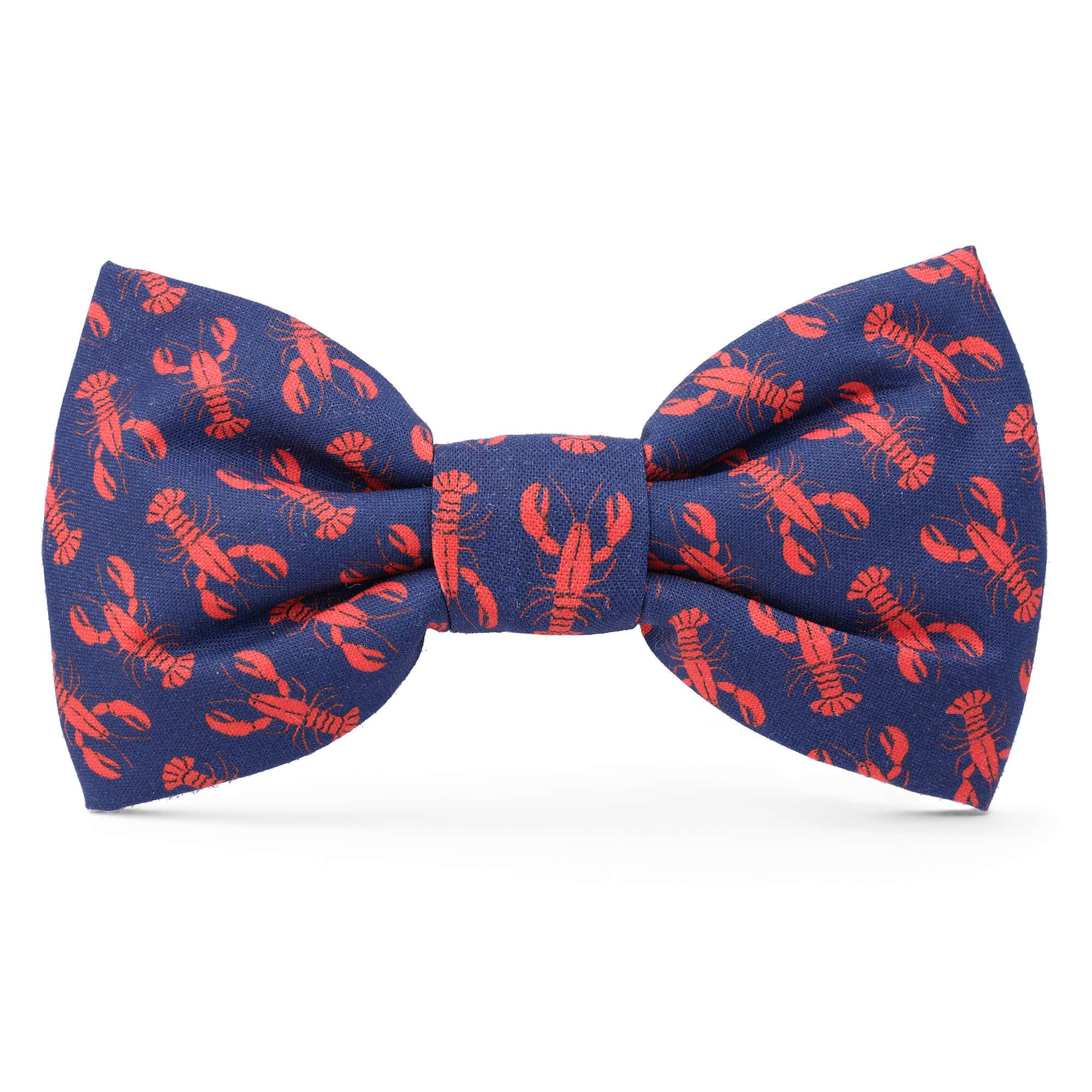 Catch of the Day Summer Dog Bow Tie: Large