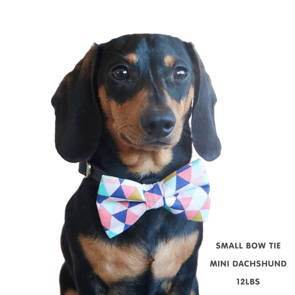 Anchor Dog Bow Tie