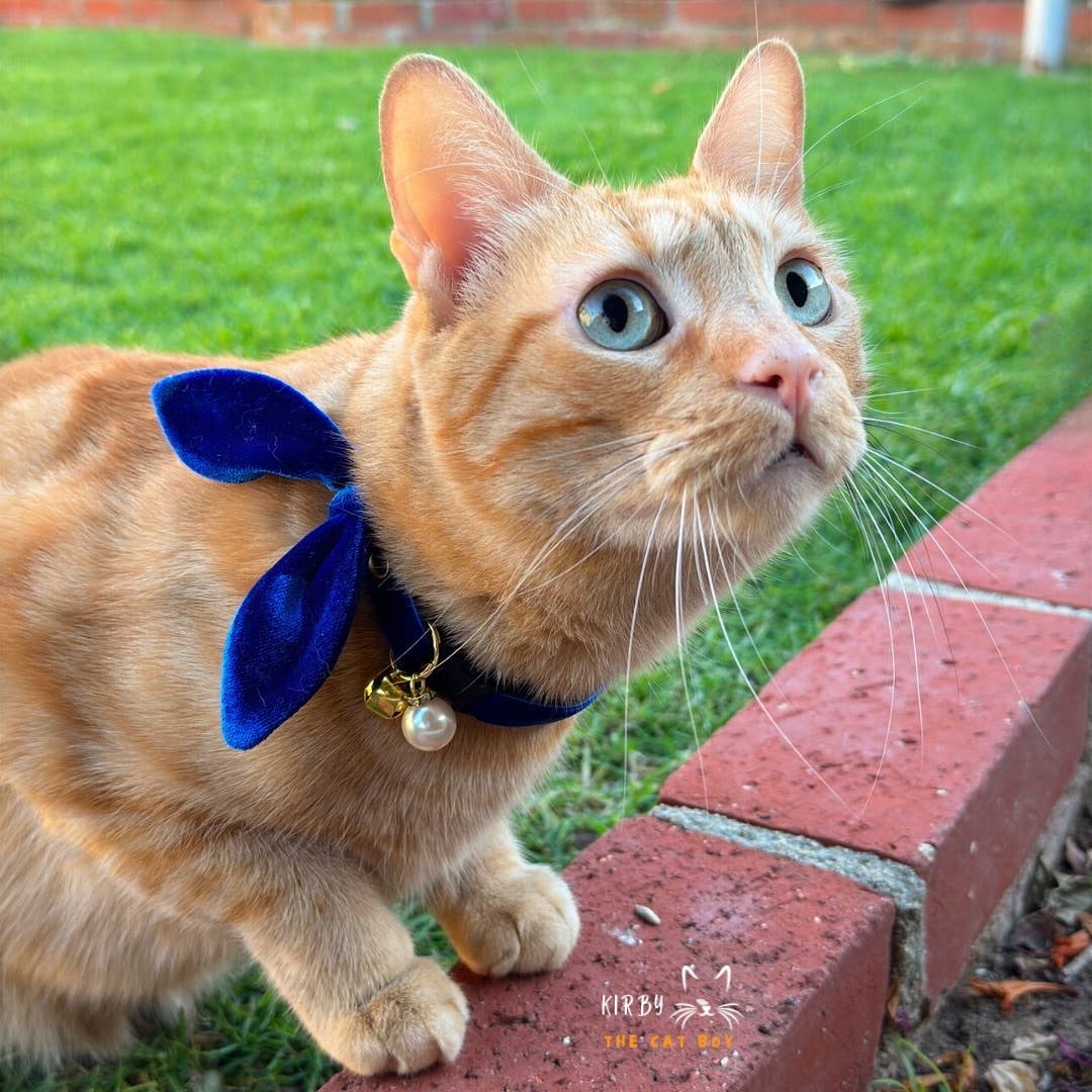 "Velvet - Sapphire Blue" -  Cat Collar & Bunny Ear Bow Set